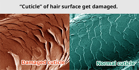 Cuticle of hair surface get damaged