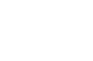 2WAY Brush Hair iron マイナスイオン 2WAYブラシヘアーアイロン