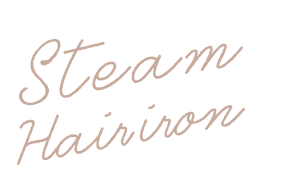 Steam Hair iron マイナスイオン スチームヘアーアイロン