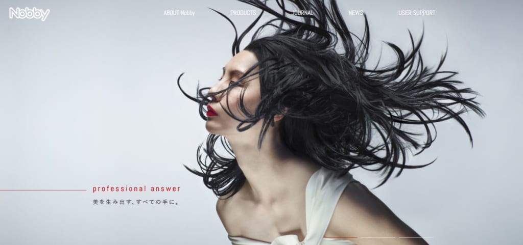 プロフェッショナルブランド Nobby 公式サイトがリニューアルしました 美容 キッチン家電のテスコム